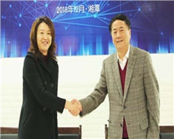 銳意進取，創新發展—威勝電氣2019年經營管理目標宣貫會勝利召開