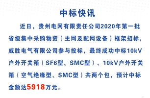 威勝電氣中標貴州電網5918萬元
