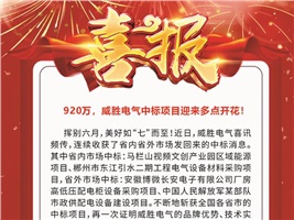 920萬，威勝電氣中標項目迎來多點開花！