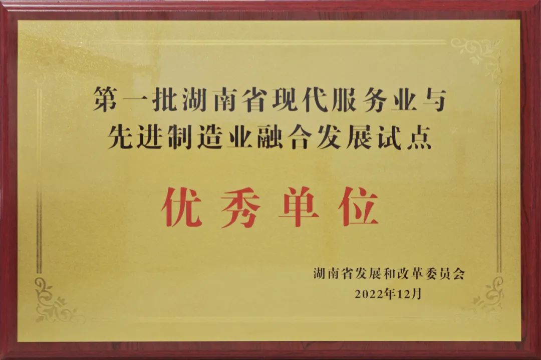 湖南省第一批優秀試點單位！威勝能源兩業融合工作再獲殊榮！